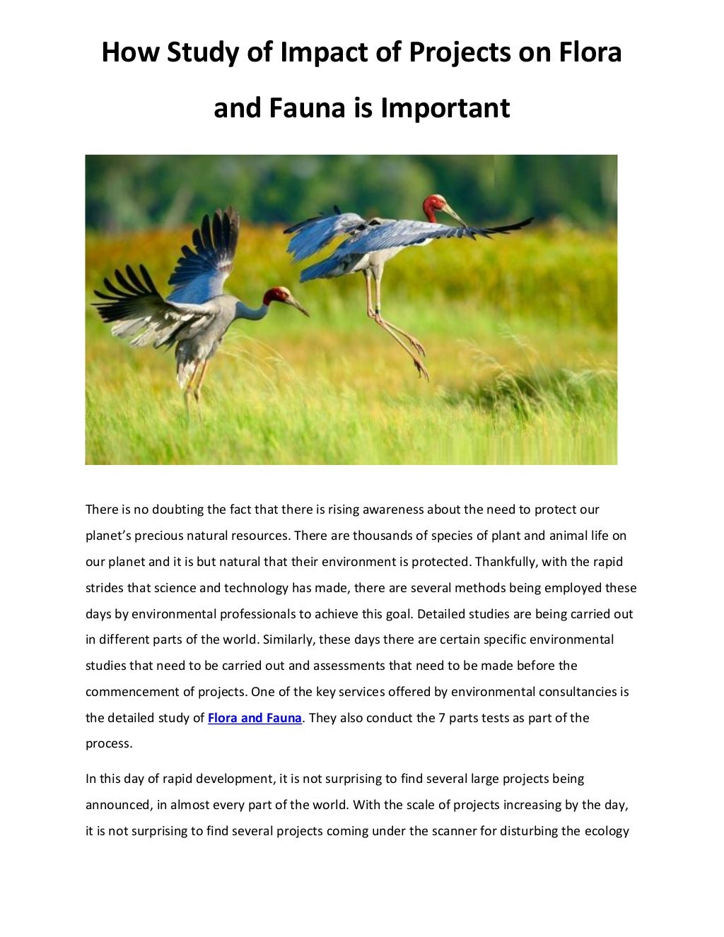 How Study of Impact of Projects on Flora and Fauna is Important