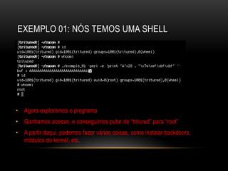EXEMPLO 01: NÓS TEMOS UMA SHELL




• Agora exploramos o programa
• Ganhamos acesso, e conseguimos pular de “tritured” para “root”
• A partir daqui, podemos fazer várias coisas, como instalar backdoors,
  módulos do kernel, etc.
 