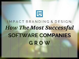 How Successful Software Companies Grow