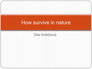 How survive in nature

     Dita Hrdličková
 