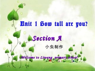 Section A   小虫制作 Welcome to Liwang  primary school   Unit 1 How tall are you? 