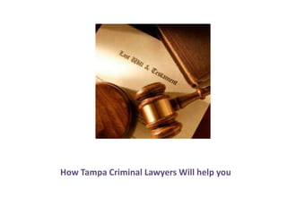 How Tampa Criminal Lawyers Will help you
 