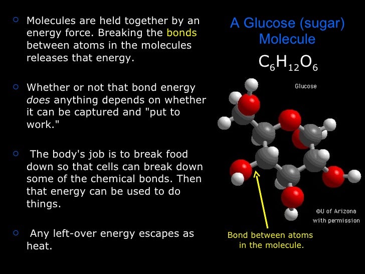 How the body obtains and uses energy