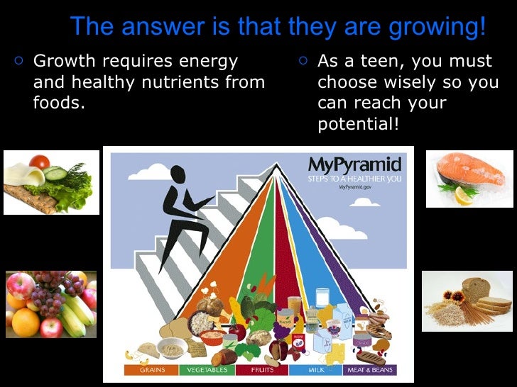 How the body obtains and uses energy