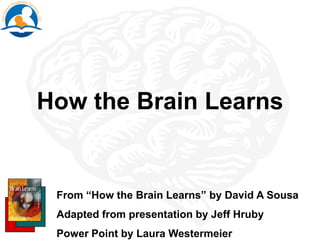 How the Brain Learns
From “How the Brain Learns” by David A Sousa
Adapted from presentation by Jeff Hruby
Power Point by Laura Westermeier
 