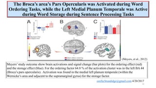 How the brain learns to read | PPTX