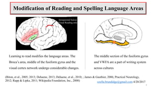 How the brain learns to read | PPTX