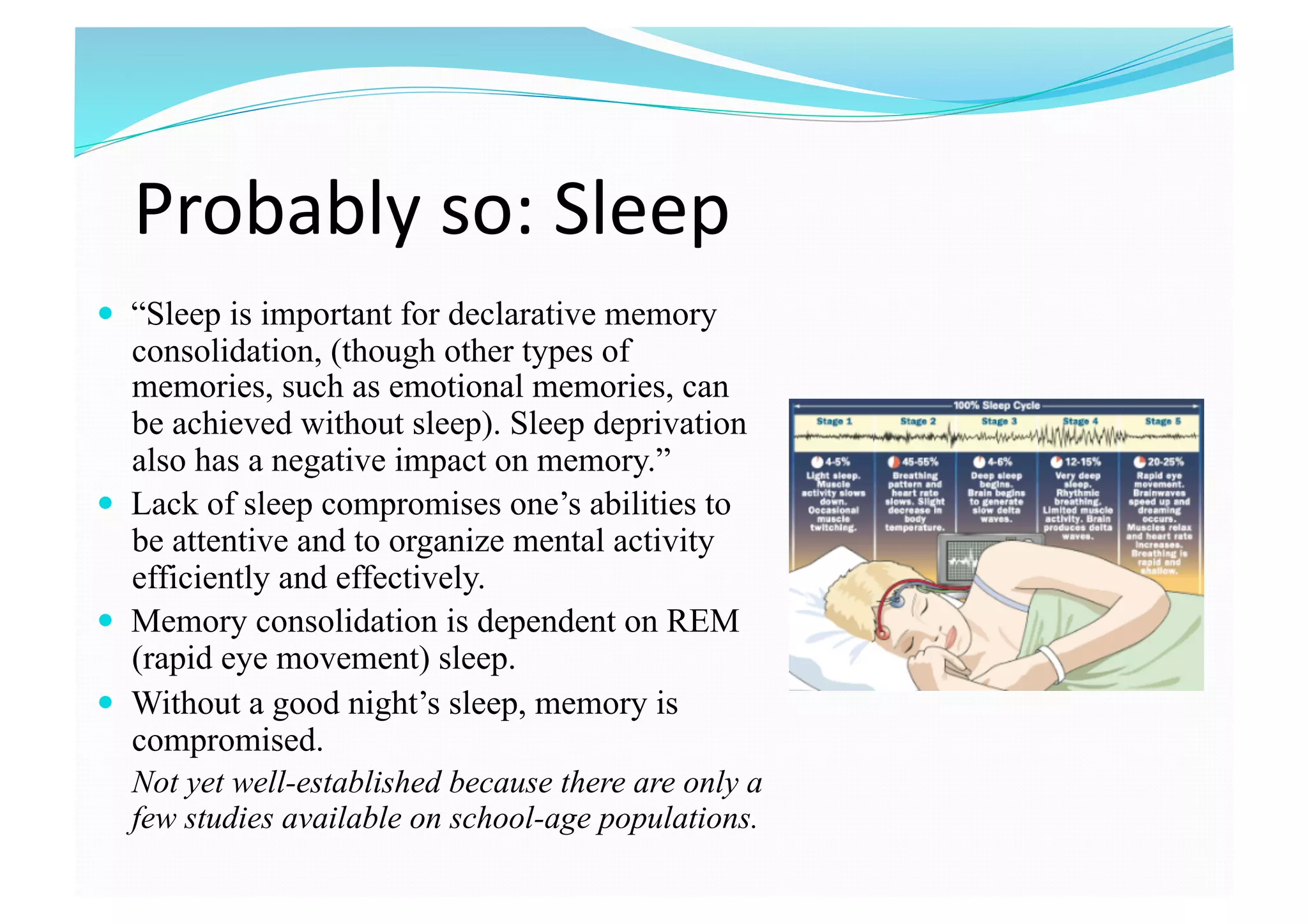How the brain_processes_information-memory_retention_and_learning ...
