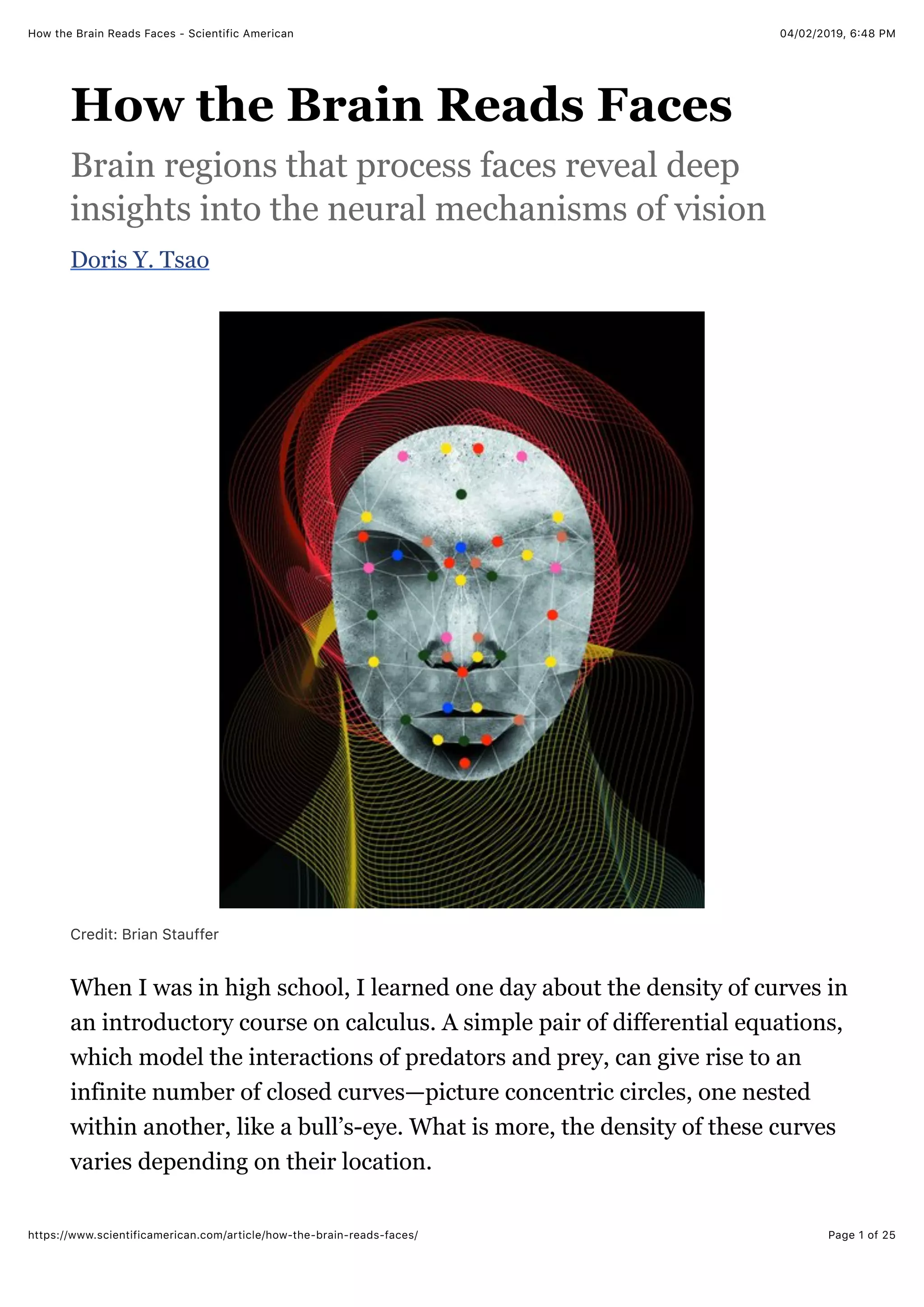 How the brain reads faces | PDF