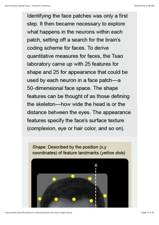 How the brain reads faces | PDF