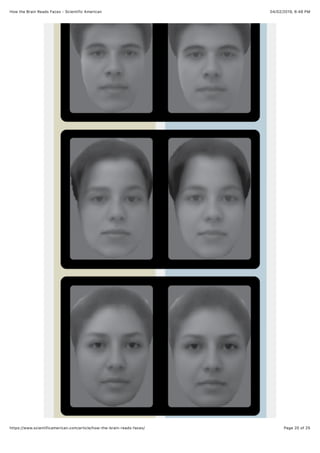 How the brain reads faces | PDF