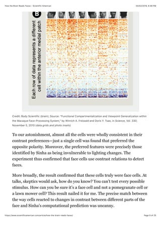 How the brain reads faces | PDF