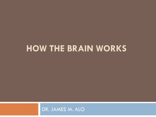 HOW THE BRAIN WORKS




  DR. JAMES M. ALO
 
