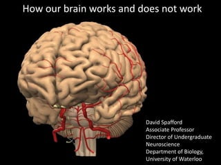 How our brain works and does not work




                         David Spafford
                         Associate Professor
                         Director of Undergraduate
                         Neuroscience
                         Department of Biology,
                         University of Waterloo
 