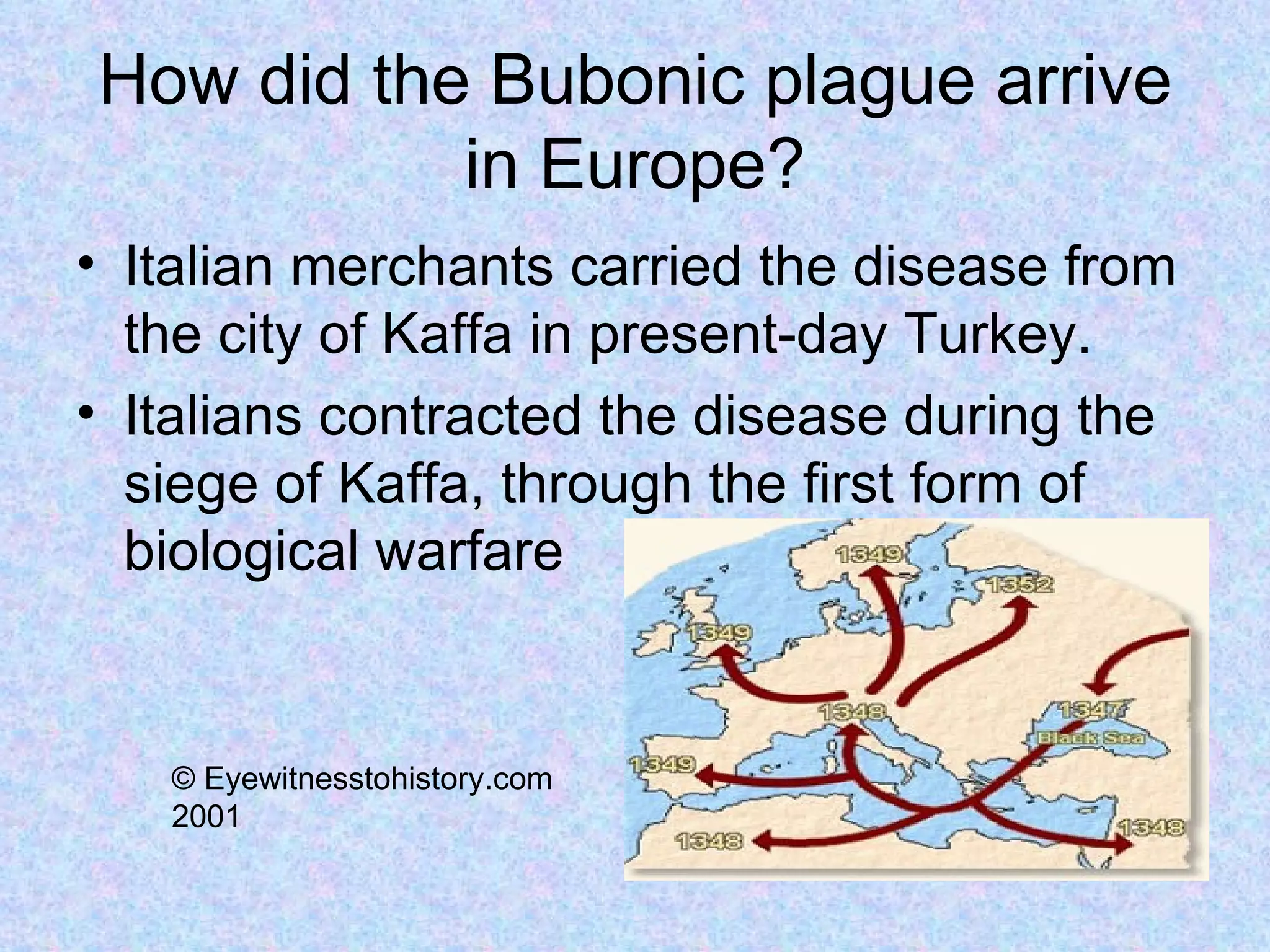 How did the Bubonic plague arrive in Europe? Italian merchants carried the disease from the city of Kaffa in present-day Turkey. Italians contracted the disease during the siege of Kaffa, through the first form of biological warfare © Eyewitnesstohistory.com 2001 