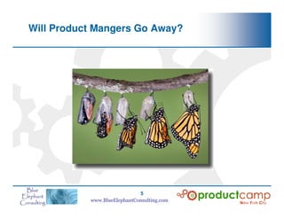 How The Butterfly Effect Changes Everything For Product Managers | PDF