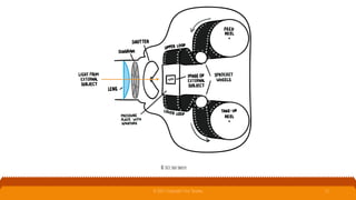 How the camera works