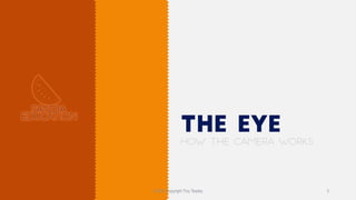 How the camera works