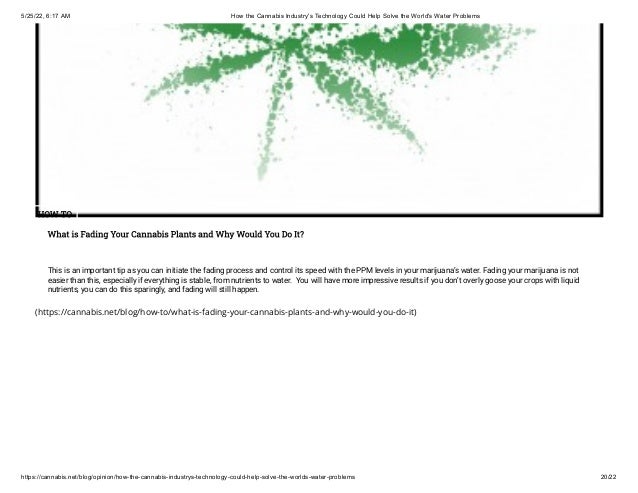 5/25/22, 6:17 AM How the Cannabis Industry's Technology Could Help Solve the World's Water Problems
https://cannabis.net/blog/opinion/how-the-cannabis-industrys-technology-could-help-solve-the-worlds-water-problems 20/22
(https://cannabis.net/blog/how-to/what-is-fading-your-cannabis-plants-and-why-would-you-do-it)
HOW TO
What is Fading Your Cannabis Plants and Why Would You Do It?
This is an important tip as you can initiate the fading process and control its speed with the PPM levels in your marijuana’s water. Fading your marijuana is not
easier than this, especially if everything is stable, from nutrients to water.  You will have more impressive results if you don’t overly goose your crops with liquid
nutrients, you can do this sparingly, and fading will still happen.
 