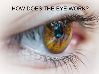HOW DOES THE EYE WORK?
 