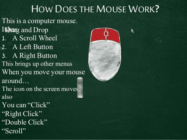how the mouse works how a computer mouse works
