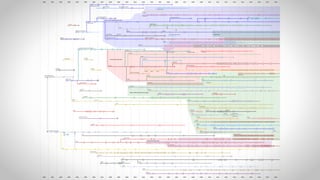 1990 1991 1992 1993 1994 1995 1996 1997 1998 1999 2000 2001 2002 2003 2004 2005 2006 2007 2008 2009 2010 2011 2012 2013 2014 2015 2016 2017 2018
1990 1991 1992 1993 1994 1995 1996 1997 1998 1999 2000 2001 2002 2003 2004 2005 2006 2007 2008 2009 2010 2011 2012 2013 2014 2015 2016 2017 2018
Line Mode Browser (libwww)
0.7 0.11 1.11.2 1.3 1.4 2.14 2.15 3 3.1 4 5 5.1 5.2 5.2.8 5.3.1 5.3.2 5.4.0 5.4.1
MacWWW
1
w3m
0.2 0.3 0.4 0.5 .5.2 .5.3
Lynx
2 2.3 2.6 2.7 2.8 2.8.2 2.8.3 2.8.4 2.8.5 2.8.6 2.8.7 2.8.8
Based on Trident / EdgeHTML layout engines
Internet Explorer for Mac
2 3 4 5 5.2
STNC HitchHiker
1
Microsoft Mobile Explorer
2 3
Deepnet Explorer
11.1 1.2 1.3 1.4 1.5
MenuBox
1.7 2 2.1 2.2 2.3 3 3.13.2 4 5 5.1 5.2 6
SlimBrowser
3.45 3.53 3.71 3.86 3.91 4 4.01 4.03 4.04 4.06 4.07 4.08 4.09 4.1 4.11 4.12 5 5.01 6 7 8
Pocket Internet Explorer
1 1.1 2 3 4
Internet Explorer Mobile
6 7 9 10 11
Edge
20 23
25 28
31
34
37
38 40 41
Internet Explorer
1 2 3 4 5 5.5 6 7 8 9 10 11
Greenbrowser
11.11.21.5 1.81.922.1 2.2 2.3 2.4 3 3.1 3.23.3 3.4 3.5 3.6 3.8 3.944.1 4.3 4.4 4.5 4.9 5.1 5.3 5.7 5.8 5.9 6 6.1 6.2 6.3 6.4 6.5 6.6 6.7 6.8 6.9
MyIE
3.2 4.01
4.02 4.1 4.2 1.5.6 1.5.7
1.5.8
1.5.9 1.6.0
1.6.1 2.1.5 2.5.1 2.5.8
SimulBrowse NetCaptor
3 5 6 7 7.5
AOL Browser / AOL Explorer
1 1.5
Internet Explorer for UNIX
4 5 5 SP1
Based on Gecko layout engine
Netscape
6 6.1 6.2 7 7.1 7.2
Netscape Browser
8 8.1
Netscape Navigator
9
Classilla
9 9.1 9.2 9.3 9.3.1 9.3.2 9.3.3
K-Meleon
0.1 0.5 0.8 1 1.1 1.5 74 75 75.1
Camino
0.5 1 1.5 2 2.1
Ghostzilla
1.0.1
SeaMonkey
1 1.1 2 2.12.22.32.4 2.52.62.7 2.82.9 2.10
2.11
2.12 2.13
2.14 2.15
2.16 2.17 2.19
2.20
2.21
2.22 2.23 2.24
2.25 2.26 2.29
2.30 2.31
2.32 2.33 2.38 2.39 2.40 2.46 2.49
Mozilla
0.60.70.8 0.9 1 1.1 1.2 1.3 1.4 1.5 1.6 1.7
IBM Lotus Symphony
1 1.1 1.2 1.3 3 3.0.1
Phoenix
0.10.4 0.5
Firebird
0.6 0.7
Firefox
0.8 0.9 0.10 1 1.5 2 3 3.5 3.6 4 5 6 7 8 910 11
12 13
14
15 16
17 18
19 20
21
22 23
24 25
26 27
28
29 30
31 32
33 34
35
36
37 38 39
40
41 42
43
44 45
46 47 48
49 50
50.1
51 52
53 54 55
56 57 58 59
Beonex Communicator
0.6 0.7 0.8
Galeon
0.6 1 2
+ WebKit / Blink
MyIE2 Maxthon
0.3
0.45 0.50.6 0.7 0.8 0.9 1 1.5 1.6 2 2.5 3 3.1 3.2 3.3 3.4 3.5 4 4.1 4.2 4.3 4.4 4.5 4.9 5 5.1 5.2
IEOpera / Avant Browser
6.5 7 8 9 10 10.1 10.2
11 11.5 11.6 11.7 11.8 11.9 12 13 14 15 16 17 18
Sleipnir
22.12.22.3 2.4 2.5 2.6 2.7 2.8 2.9 3 3.5 3.63.73.7 4 5 5.1 5.26 6.1 6.2
Lunascape
3 3 Lite 4 5 5.1.5 6 6.1.1 6.26.3 6.4.1 6.5 6.6 6.7
6.7.1 6.8 6.8.1 6.8.2 6.8.7
6.8.8 6.8.9
6.8.10 6.9.1 6.9.4 6.9.6 6.10
6.11 6.12 6.13
6.14 6.15
AMosaic
1 1.1 1.2
IBrowse
1 1.1
1.11 1.12 1.2 1.22 2 2.3 2.4
Spyglass Enhanced Mosaic
β 1 2 2.1
NCSA Mosaic
0.1 1 2 2.1 3
Mosaic Netscape / Netscape Navigator
0.9 1 1.1 1.22 2 3 4 4.5 4.6 4.7 4.8
IBM WebExplorer
1 1.1 1.2
Based on Presto layout engine
Opera
1 2 3 3.5 3.6 4 5 6 7 7.1 7.5 8 8.5 9 9.5 9.6 10 10.1 10.5 10.6 11 11.1 11.5 11.6 12 12.1 12.16 12.17 12.18
Opera Mini
1 2 3 4 4.1 4.2 5 6 6.1 6.5 7 7.5 8 9 9.19.2
10 11 12
13 14 16
17 18
19
20
21 22
23
24
26
27
28
29
30
31 32 33
Based on KHTML / WebKit / Blink layout engines
Flock
0.5 0.7 1 1.1 1.2 2 2.5 2.6 3.5
Otter Browser
a1 a2 a3 a4 a5 b1 b2 b3 b4 b5 b6 b7 b8 b9 b10 b11 b12 RC1
RC2
RC3
RC4
RC5
RC6
RC7
Epiphany
0.5 1 1.1 1.2 1.3 1.4 1.5 1.6 1.7 1.81.9 2 2.2 2.27 2.28 2.32.9 3 3.1 3.23.3
Web
3.4 3.5 3.63.7 3.8 3.9 3.10 3.11 3.12 3.13
3.14 3.15 3.16 3.17 3.18 3.19 3.20
3.21 3.22 3.24 3.26 3.28
surf
0.10.3 0.4 0.5 0.6 0.7 2
Kazehakase
0.1 0.2 0.3 0.4 0.5
0.3
WebPositive
r488 r515 r573 r577 r580 1.1
Konqueror
2 3 3.2 3.3 3.4 3.5 4 4.1 4.2 4.3 4.4 4.5 4.6 4.7 4.8 4.9 4.10 4.11 4.12 4.13 4.14 5
Safari
1 1.1 1.2 2 3 3.1 3.2 4 5 5.1 6 7 8 9 9.1 10 10.1 11 11.1
Shiira
0.9 1 1.1 1.2 2 2.12.2 2.3
Rockmelt
b1 b2 b3 b4 b5
OmniWeb
1 2 3 4 4.1 4.2 4.5 5 5.5 5.10 5.11
Midori
0.1 0.2 0.3 0.4 0.5
0.5.2 0.5.4
0.5.5 0.5.6 0.5.7 0.5.8 0.5.9 0.5.10 0.5.11
iCab
1 2 2.5 3 4 4.1 4.2 4.5 4.6 4.7 4.8 5 5.1 5.2 5.5 5.6 5.7 5.8
iCab Mobile
11.5 1.61.7 2 2.12.23 3.6 4 4.2 4.54.64.8 55.1 5.3 5.55.7 5.85.96 6.5 6.6 6.8 7 7.1 7.2 88.18.2 8.3 8.5 8.6 8.7 8.8 8.9
8.10
8.11 99.19.29.3 9.4 9.5 9.6 9.7 9.8
Iris Browser
1.0.9 1.1.5
1.1.7 1.1.8
1.1.9
xxxterm
1 1.1 1.21.3 1.41.5 1.61.7
1.81.9
1.10 1.11
1.11
xombrero
11.1
1.21.3 1.4 1.51.6 1.6.4
Arora
0.2 0.3 0.4 0.50.6 0.7 0.80.9 0.10 0.11
zBrowser
11.21.3 2 2.1
Zeromus Browser
4.34.3
BlueLightCat
0.10.20.6
rekonq
0.1 0.2 0.3 0.4 0.5 0.6 0.7 0.8 0.9 11.1 1.3 22.12.2 2.3 2.4
Vivaldi
BETA 1 1.2 1.31.4 1.51.6 1.71.81.9 1.10 1.11
1.12 1.13 1.14 1.15
Chrome
0.2 1 2 3 4 4.1 5 6 7 8 910
11 12 13
14
15 16 17
18 19
20
21 22 23 24
25
26 27
28 29
30 31 32
33 34
35 36
37 38
39 40 41
42
43 44 45
46 47
48 49
50
51 52
53 54 56 57
58 59
60 61
62 63
64 65
66
Dooble
0.01 0.05 0.07 0.08
0.09 11.11
1.14 1.15
1.17
1.18
1.20
1.21 1.23
1.24 1.25
1.26 1.29
1.31 1.35 1.37 1.39 1.41 1.43 1.44
1.45 1.46 1.47 1.48 1.49 1.50 1.51
1.52 1.53 1.54 1.55 1.56 2
Steel
.0.9
.0.12
.0.19 .1.1 .1.6 .1.9
QupZilla
11.1 1.2 1.3 1.4 1.6 1.8 2 2.1 2.2 2.2.6
Uzbl
r1 r2 r4 r6 r7 r10r11r12r13r14r15 r16 r17 r18r20r21 r23 r24r25 r26 0.9.0
Falkon
3
Opera (blink-based)
15
16 17
18 19 20 21
22
23 24
25 26
27 28
29 30 31
32
33 34 35
36 37
38 39
41 42 43
44 45
46 47
48 49 50
51
52
Opera Mobile
3.6 5.14 6 6.1 8 8.5 8.6 10 11 11.1 11.5 12 12.1 14 15 16 18 19 20 21
22
23 24
25 26
27 28
29 30 32 33
34 35
36 37 37.1
37.2 41.2
42
42.4
42.7 42.8 42.9
43 44 45
WorldWideWeb / Nexus
0.1 0.4 0.7 0.11 0.12 0.14 0.18
ViolaWWW
1 3
tkWWW
0.1 0.4 0.5 0.7 0.9 0.10 0.11 0.12 0.13
MidasWWW
1
Cello
0.1 1
Arena
0.92 beta-1 beta-2 beta-3 0.3.18 0.3.39 0.3.62
SlipKnot
1 1.4 1.5
WebRunner / HotJava
1 3
UdiWWW
1 1.2
AWeb
1 2.1 3 3.4 3.5b
Cyberdog
1 1.2 2
Tamaya / Amaya
0.9 1 1.1 1.2 1.3 1.4 22.1 2.2 2.4 33.1 3.2 44.2 4.3 5 5.2 5.3 6 6.2 6.4 7 7.2 8 8.1 8.2 8.38.5 8.6 8.7 99.1 9.2 9.3 9.4 9.5 10 11
11.1 11.2 11.3 11.4
Arachne
1 1.7 1.9 1.93 1.95 1.97
Links
0.8 0.9 2 2.22.2 2.3 2.42.5 2.6 2.7 2.8 2.9 2.11 2.12 2.13 2.14 2.15
ELinks
0.3 0.4 0.9 0.10 0.11
Gzilla
.0.1 .1.5 .1.7 .2.1
.3.6
.3.8
Armadillo
.3.10
Dillo
0 0.1 0.5 0.7 0.8 0.8.6 2 2.1 2.2 3 3.0.2 3.0.3 3.0.4 3.0.5
NetSurf
1 1.1 1.2 2 2.5 2.6 2.7 2.8 2.9 3 3.1 3.2 3.3 3.4 3.5 3.6 3.7
Contiki
1 1.1 1.2 1.3 2 2.2 2.3 2.4 2.5 2.6 2.7 3
 