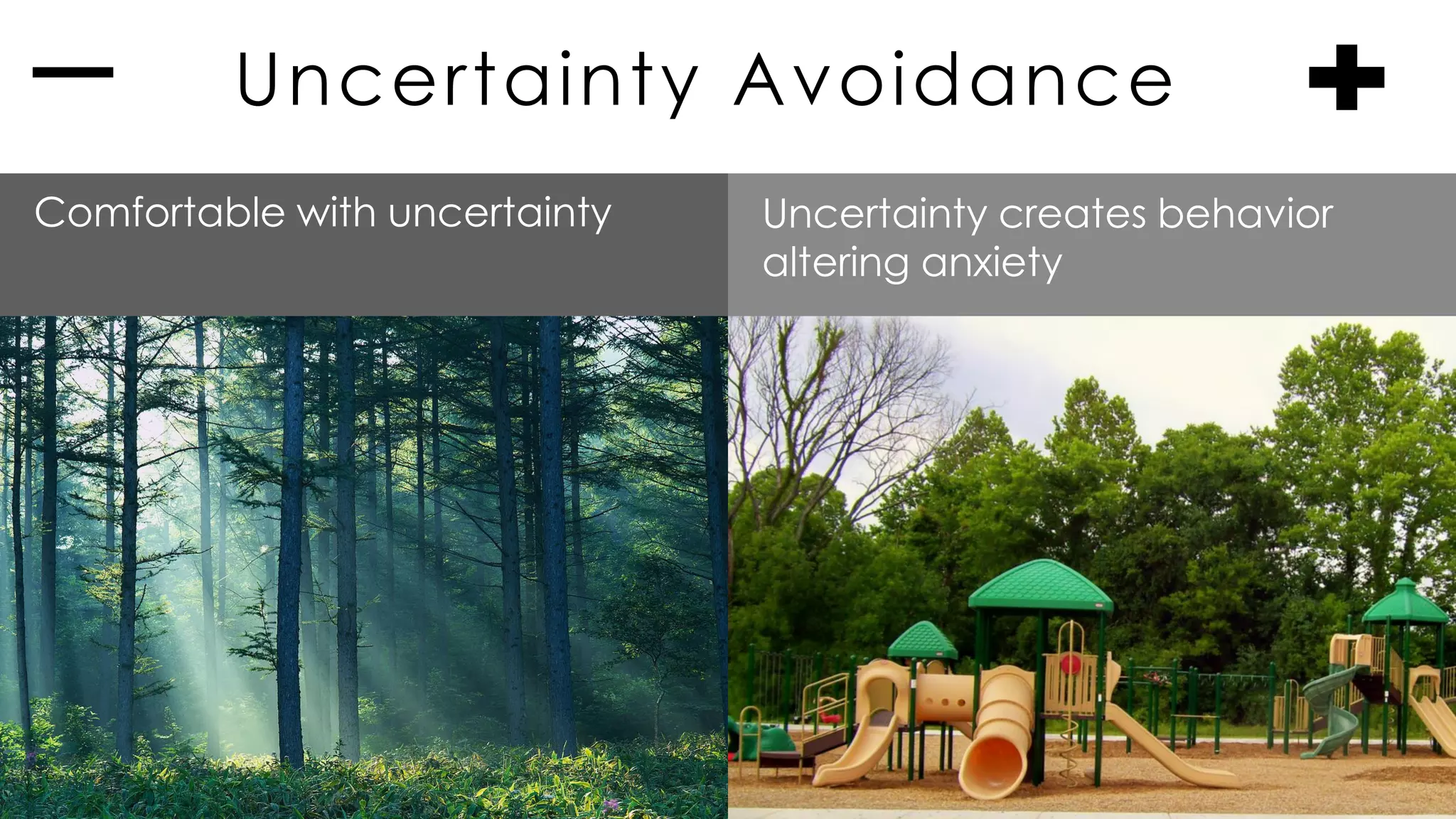 Uncertainty Avoidance
Comfortable with uncertainty Uncertainty creates behavior
altering anxiety
 