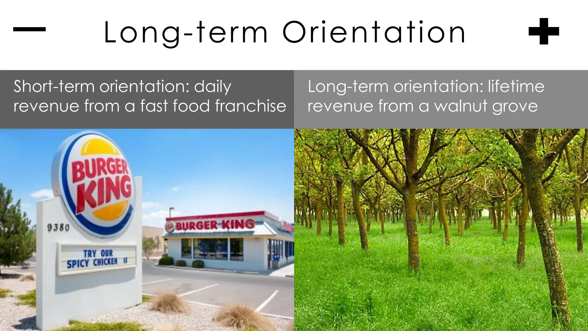 Long-term Orientation
Short-term orientation: daily
revenue from a fast food franchise
Long-term orientation: lifetime
revenue from a walnut grove
 