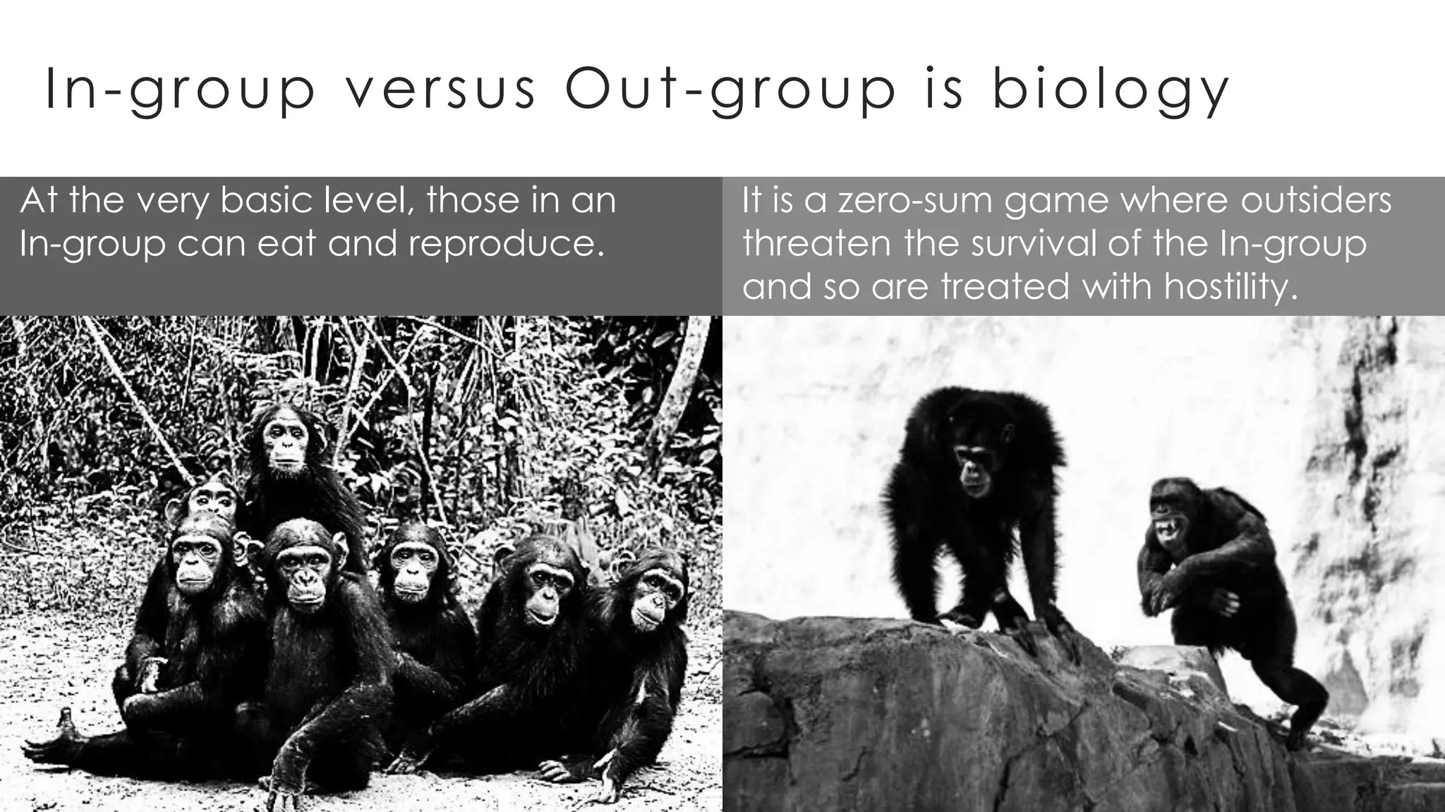 In-group versus Out-group is biology
At the very basic level, those in an
In-group can eat and reproduce.
It is a zero-sum game where outsiders
threaten the survival of the In-group
and so are treated with hostility.
 