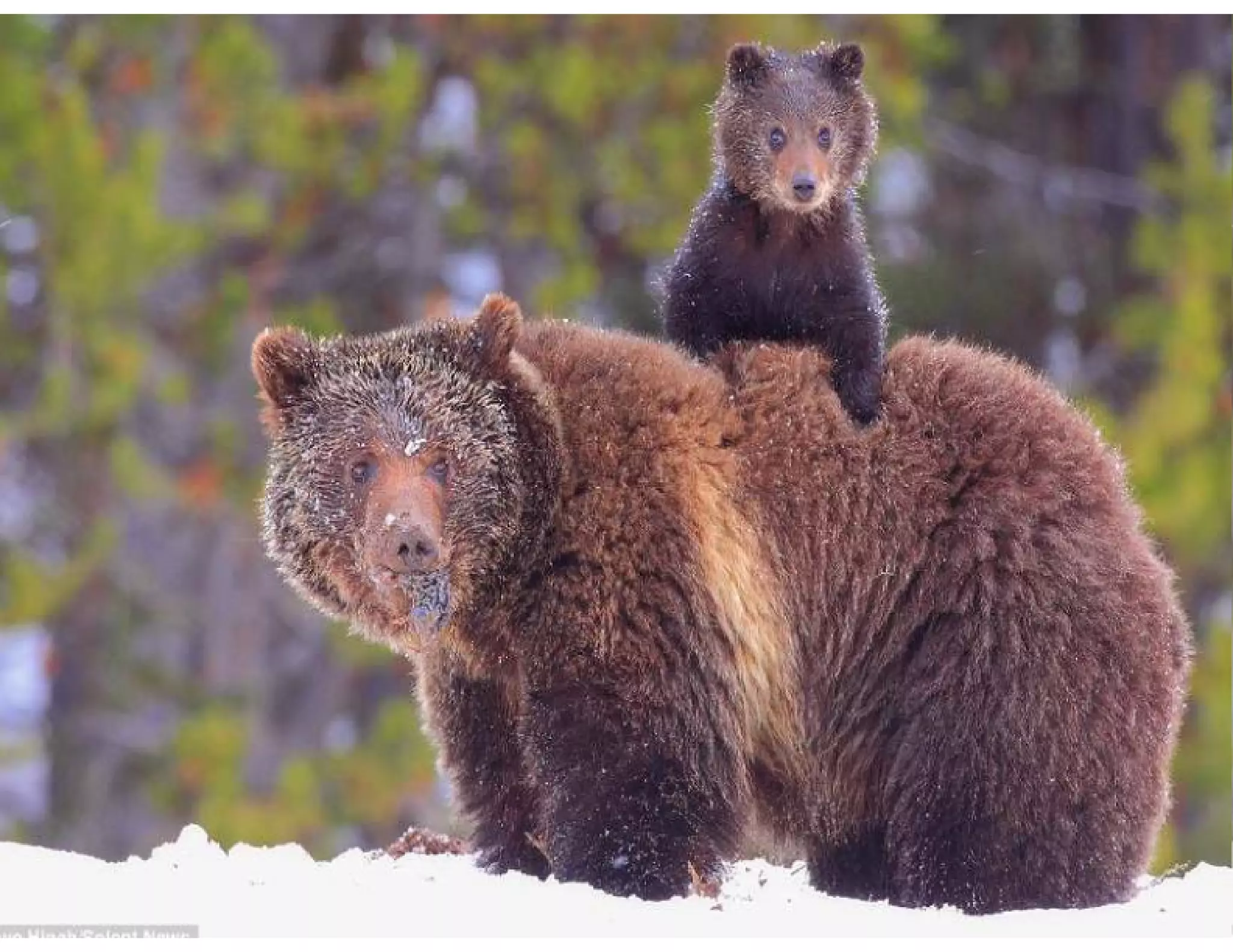 How the young will inherit the fundraising world   elise slides