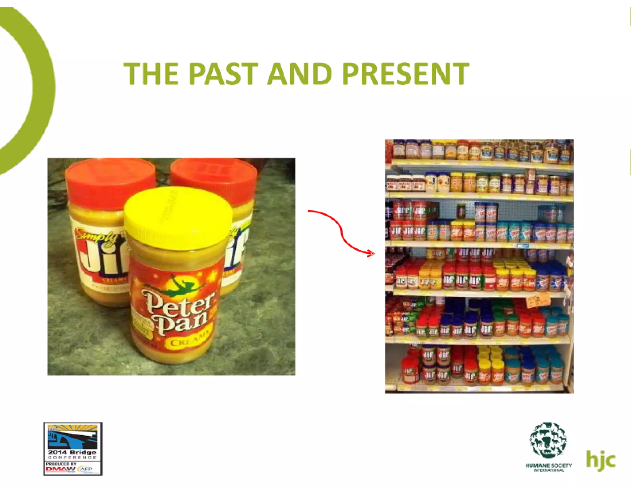 How the young will inherit the fundraising world   elise slides