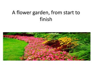 A flower garden, from start to
            finish
 