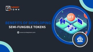 BENEFITS OF DEVELOPING
SEMI-FUNGIBLE TOKENS
www.turnkeytown.com
 