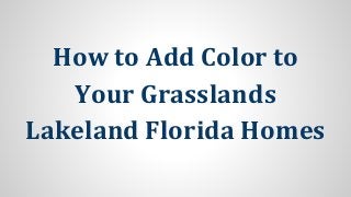 How to Add Color to
Your Grasslands
Lakeland Florida Homes
 