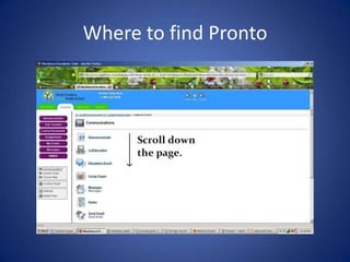 Where to find Pronto