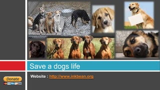 Save a dogs life
Website : http://www.inkbean.org
 