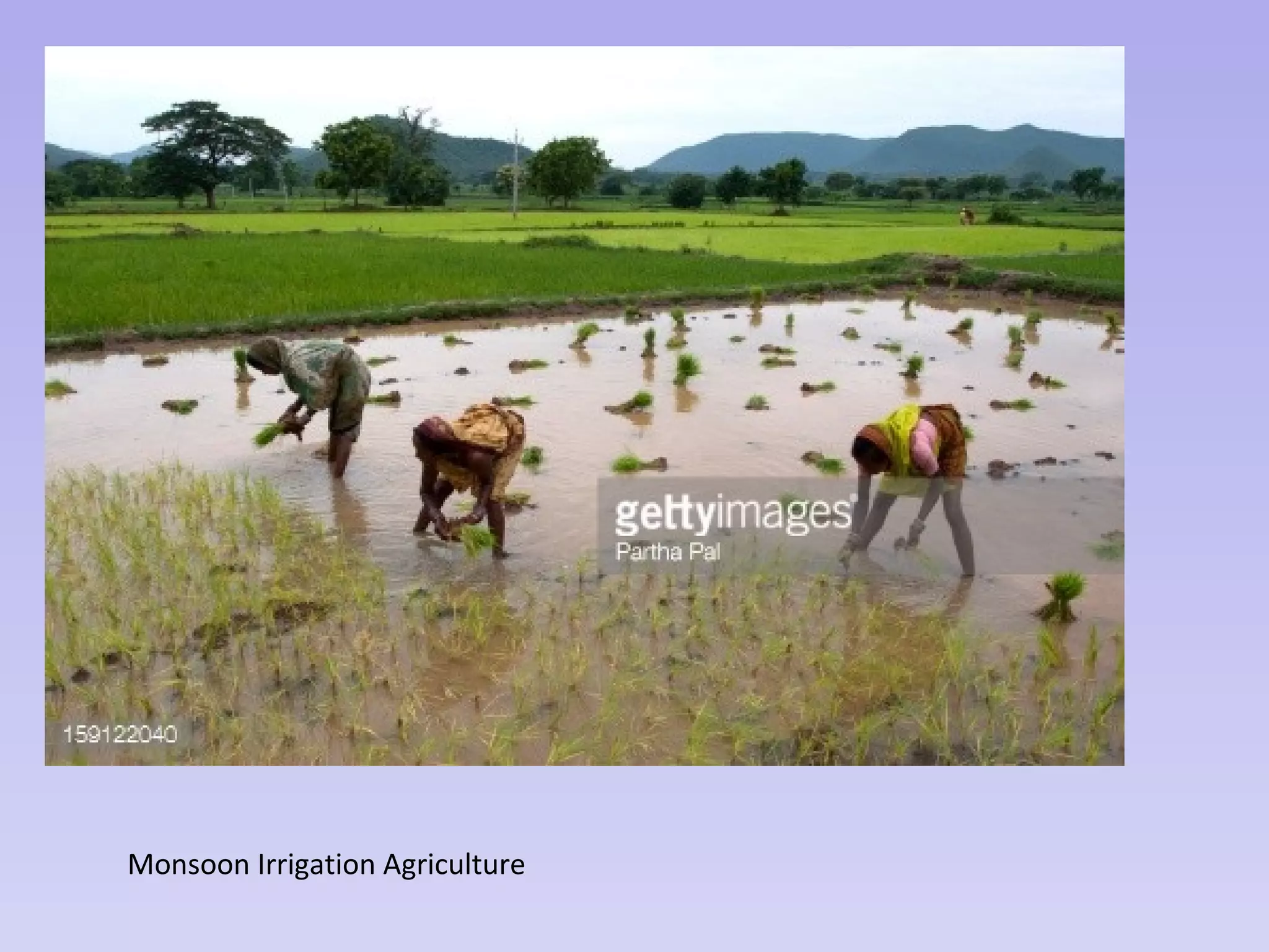 Monsoon Irrigation Agriculture
 