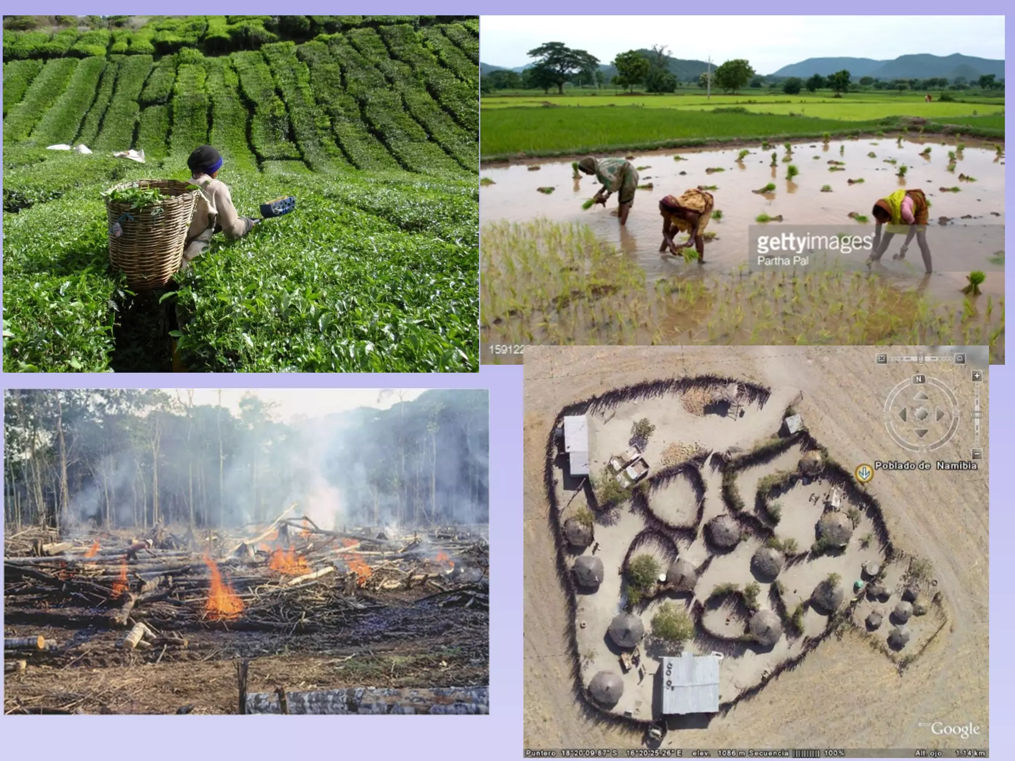 How to analyse an image