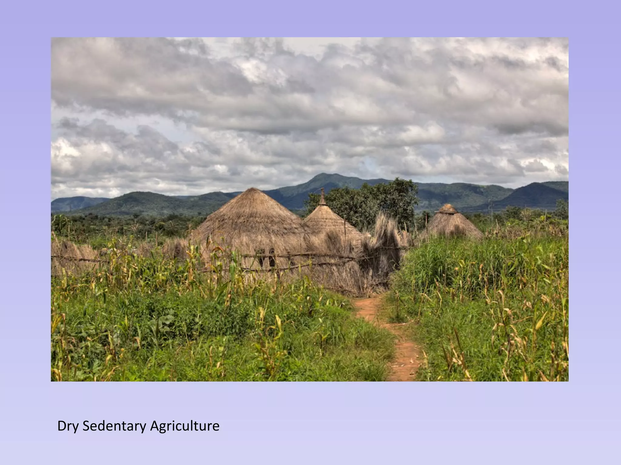 Dry Sedentary Agriculture
 
