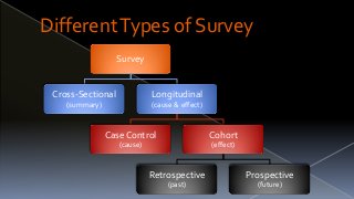 How to Analyse a Survey – The One Thing You Need to Know!