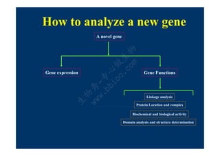 How to analyze a new gene
                  A novel gene




                      co 物
                    o. 生
                        m
                  io 做
                bb 心
Gene expression                              Gene Functions




              w. -专
            ww 秀
              物
                                               Linkage analysis
            生

                                         Protein Location and complex

                                      Biochemical and biological activity

                                 Domain analysis and structure determination
 