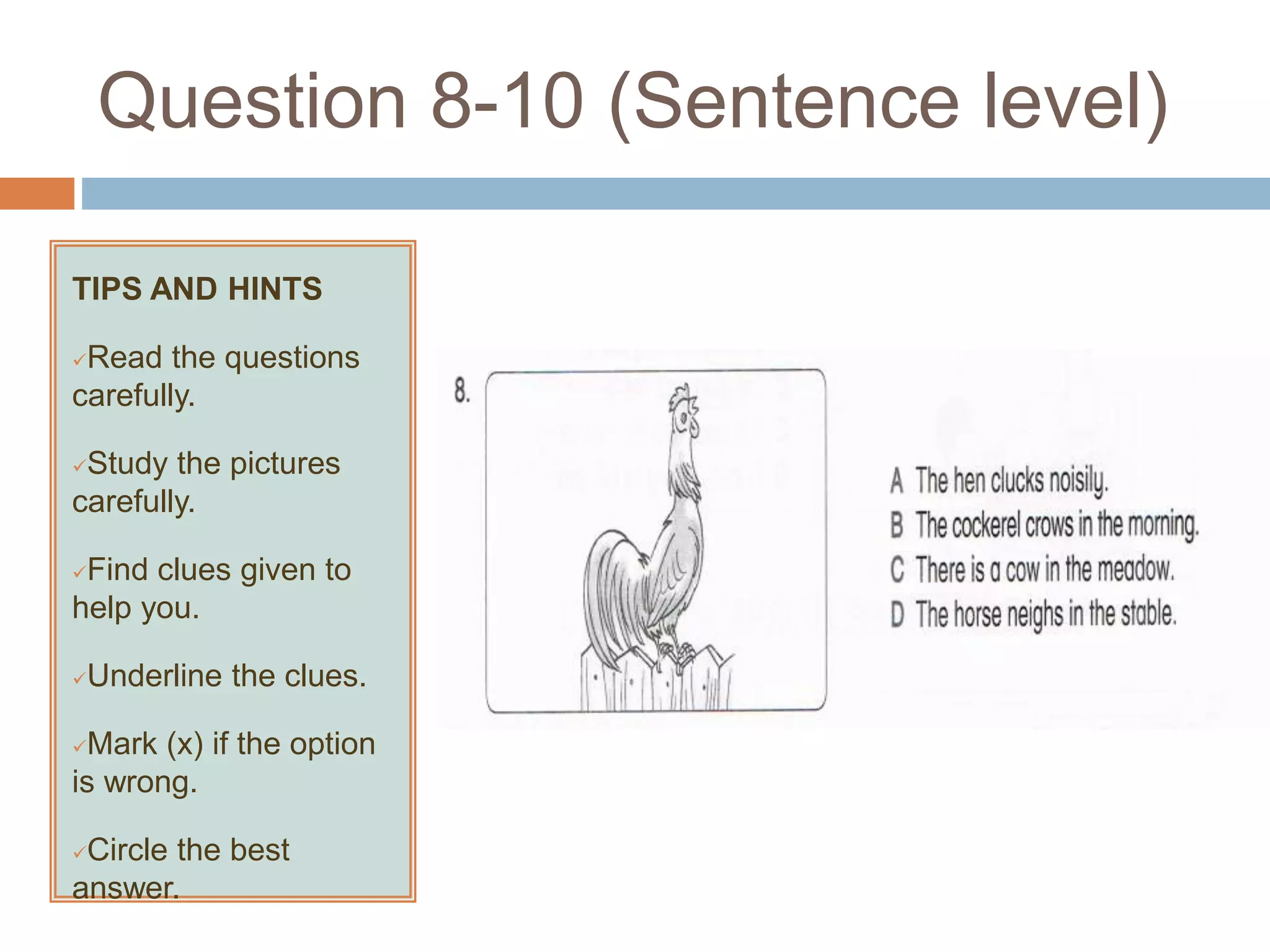 Question 8-10 (Sentence level)
TIPS AND HINTS
Read the questions
carefully.
Study the pictures
carefully.
Find clues given to
help you.
Underline the clues.
Mark (x) if the option
is wrong.
Circle the best
answer.
 