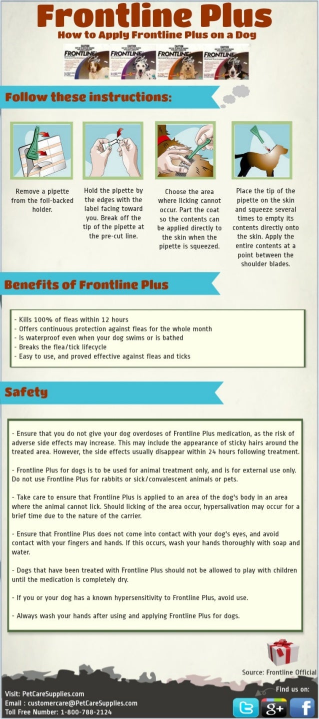 How To Apply Frontline To Dogs Video How To Apply Frontline To Dogs Video