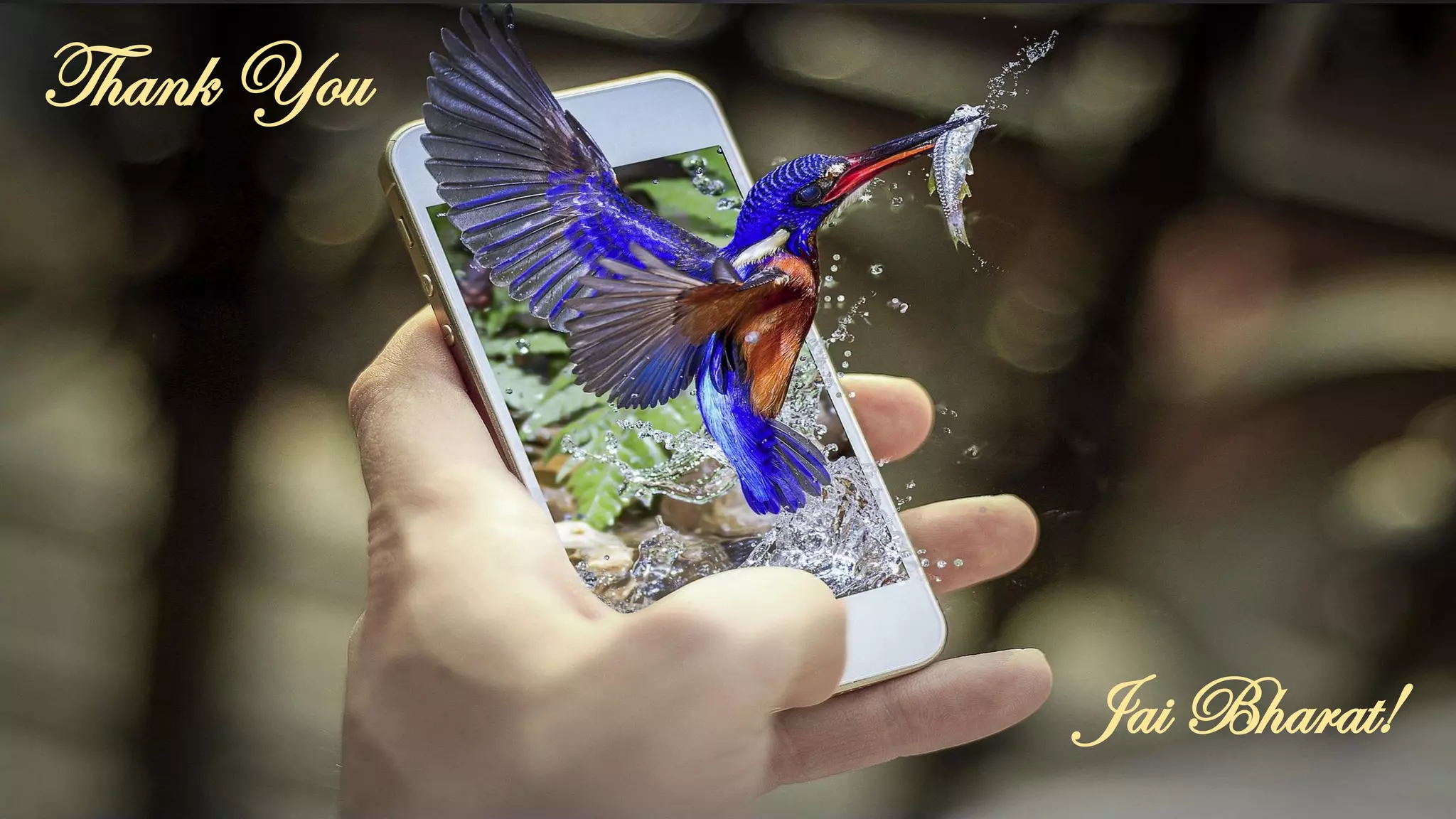 Thank You
Jai Bharat!