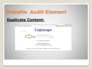 Website Audit Element 
Duplicate Content: 
 