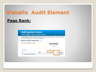 Website Audit Element 
Page Rank: 
 