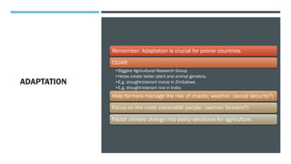 ADAPTATION
Remember: Adaptation is crucial for poorer countries.
CGIAR:
•Biggest Agricultural Research Group.
•Helps create better plant and animal genetics.
•E.g. drought-tolerant maize in Zimbabwe.
•E.g. drought-tolerant rice in India.
Help farmers manage the risk of chaotic weather. (social security?)
Focus on the most vulnerable people. (women farmers?)
Factor climate change into policy decisions for agriculture.
 