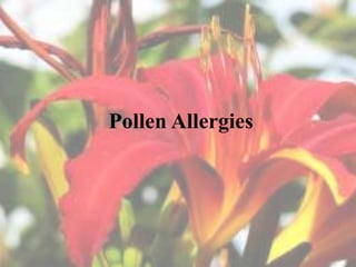 Pollen Allergies
 