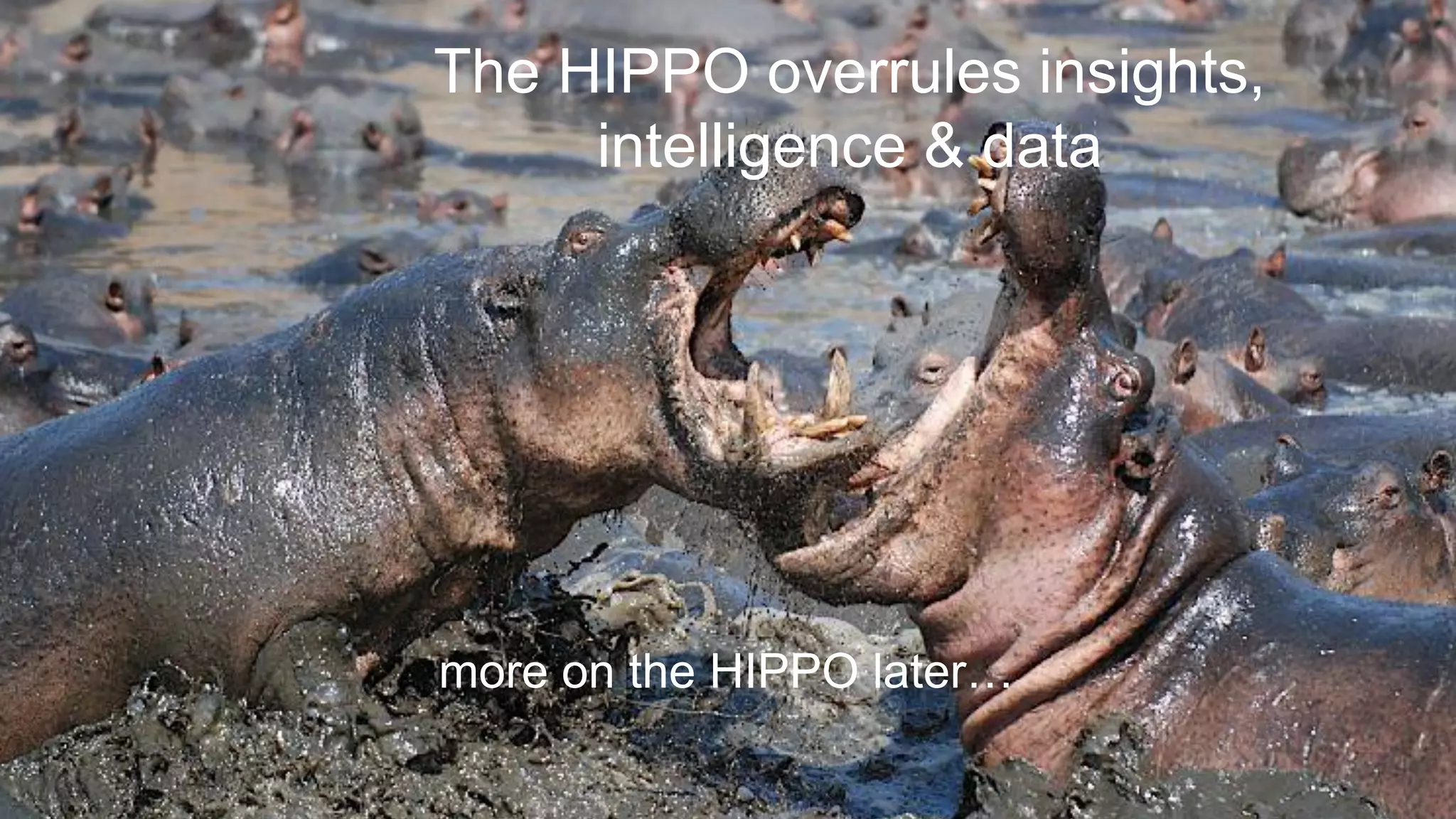 @paulrouke #DMS2015
The HIPPO overrules insights,
intelligence & data
more on the HIPPO later…
 