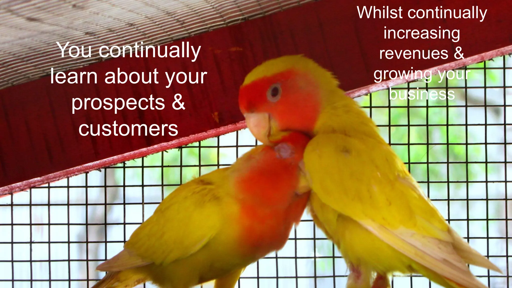 @paulrouke #DMS2015
You continually
learn about your
prospects &
customers
Whilst continually
increasing
revenues &
growing your
business
 